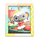 Animal Crossing Items Niko's photo Pop