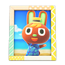 Animal Crossing Items O'Hare'S Photo Pop