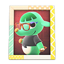 Animal Crossing Items Opal'S Photo Pop