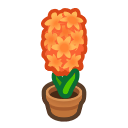 Animal Crossing Items Switch Orange-hyacinth Plant