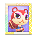 Animal Crossing Items Pecan'S Photo Pop