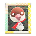 Animal Crossing Items Peck'S Photo Pop