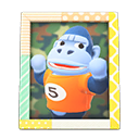 Animal Crossing Items Peewee'S Photo Pop