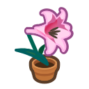 Animal Crossing Items Switch Pink-lily Plant