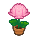 Animal Crossing Items Switch Pink-mum Plant