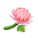 Animal Crossing Items Switch Pink Mums x10