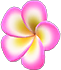 Animal Crossing Items Switch Pink plumeria hairpin