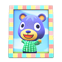 Animal Crossing Items Poncho'S Photo Pastel