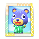 Animal Crossing Items Switch Poncho'S Photo