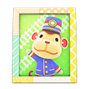 Animal Crossing Items Porter's photo Pop