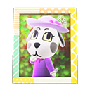 Animal Crossing Items Portia'S Photo Pop