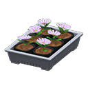 Animal Crossing Items Potted starter plants Gray