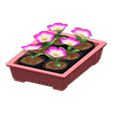 Animal Crossing Items Potted starter plants Pink