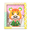 Animal Crossing Items Pudge'S Photo Pop