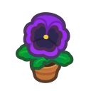 Animal Crossing Items Switch Purple-pansy Plant