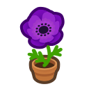 Animal Crossing Items Switch Purple-windflower Plant