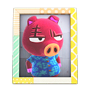 Animal Crossing Items Rasher'S Photo Pop