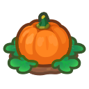 Animal Crossing Items Switch ripe orange-pumpkin plant