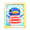 Animal Crossing Items Roald'S Photo Pop