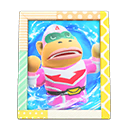 Animal Crossing Items Rocket'S Photo Pop