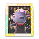 Animal Crossing Items Rodeo'S Photo Pop