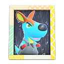 Animal Crossing Items Rooney'S Photo Pop