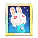 Animal Crossing Items Ruby'S Photo Pop