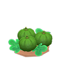 Animal Crossing Items Switch s. green-pumpkin sprout