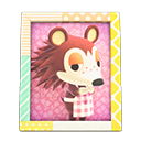 Animal Crossing Items Sable's photo Pop