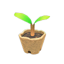 Animal Crossing Items Switch Sapling x10