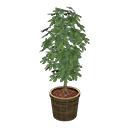 Animal Crossing Items Schefflera Brown