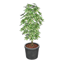 Animal Crossing Items Schefflera Gray