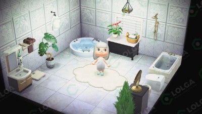 Animal Crossing Items Switch Shower Room 3