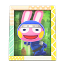 Animal Crossing Items Switch Snake'S Photo