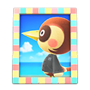 Animal Crossing Items Sparro'S Photo Pastel