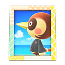 Animal Crossing Items Sparro'S Photo Pop