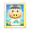 Animal Crossing Items Spork'S Photo Pop