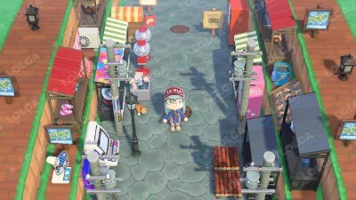 Animal Crossing Items Switch Street 2