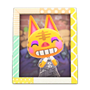 Animal Crossing Items Tabby'S Photo Pop