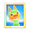 Animal Crossing Items Tangy'S Photo Pop