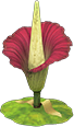 Animal Crossing Items Switch Titan arum