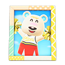 Animal Crossing Items Switch Tutu'S Photo