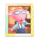 Animal Crossing Items Velma'S Photo Pop