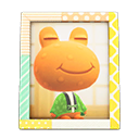 Animal Crossing Items Switch Wart Jr.'S Photo