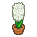 Animal Crossing Items Switch White-hyacinth Plant