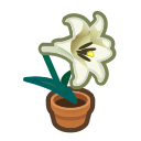 Animal Crossing Items Switch White-lily Plant