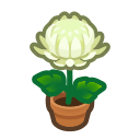 Animal Crossing Items Switch White-mum Plant