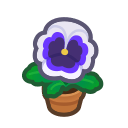 Animal Crossing Items Switch White-pansy Plant