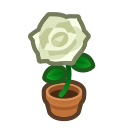 Animal Crossing Items Switch White-rose Plant