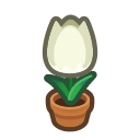 Animal Crossing Items Switch White-tulip Plant